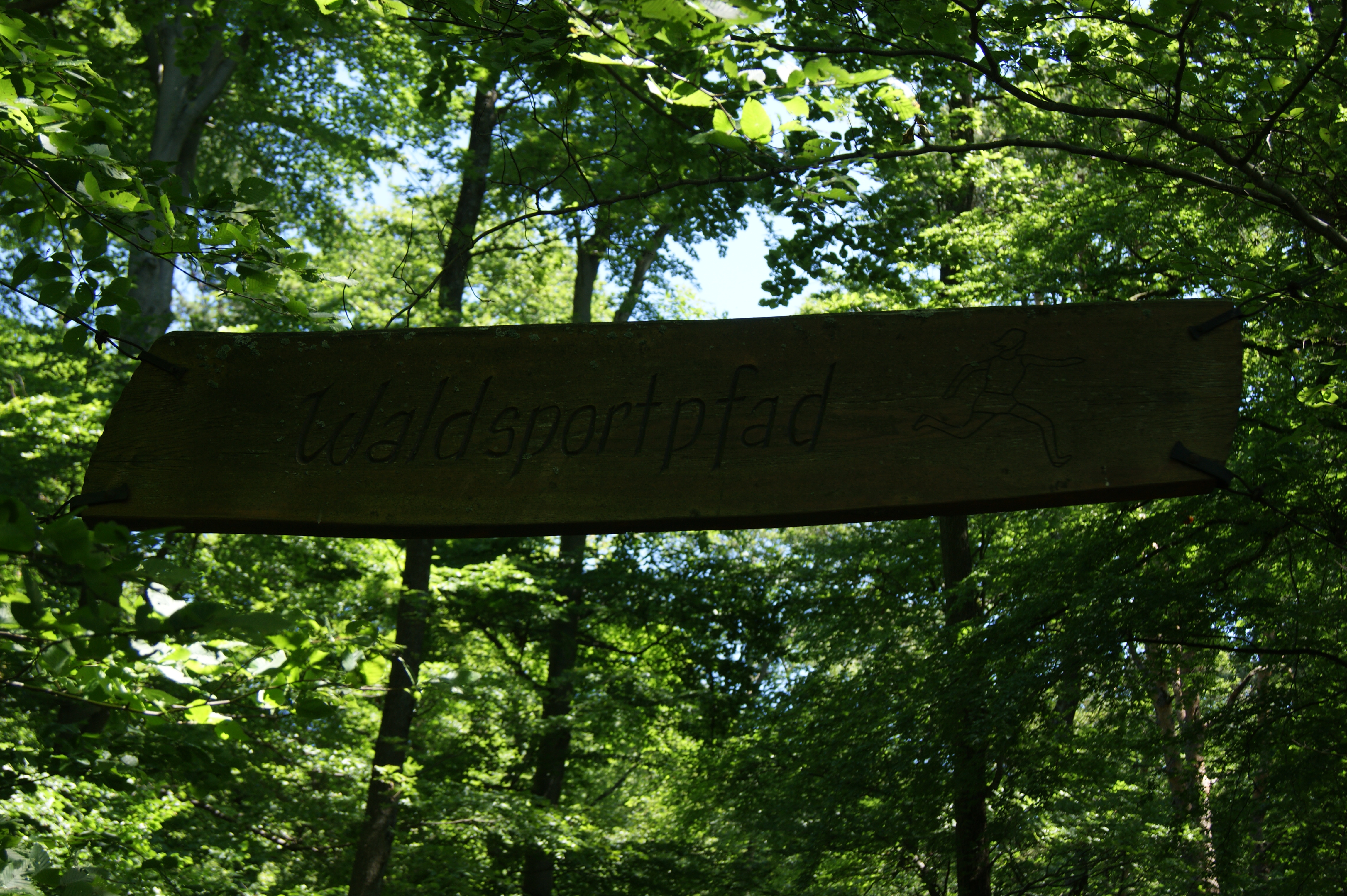 Waldsportpfade und Trimm-Dich-Pfade in Baden Württemberg